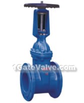 Rising stem resilient seat seal gate valves